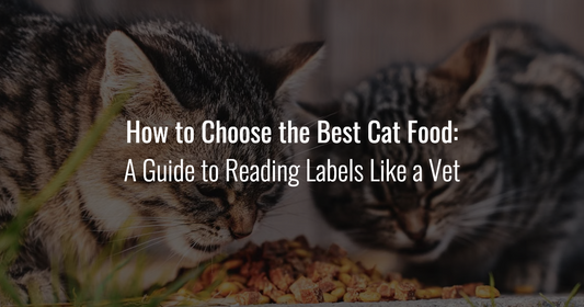 Two tabby cats eating dry food, overlaid with text reading "How to Choose the Best Cat Food: A Guide to Reading Labels Like a Vet".