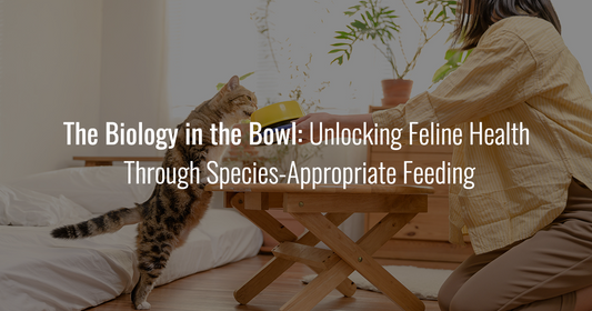 The Biology in the Bowl: Unlocking Feline Health Through Species-Appropriate Feeding