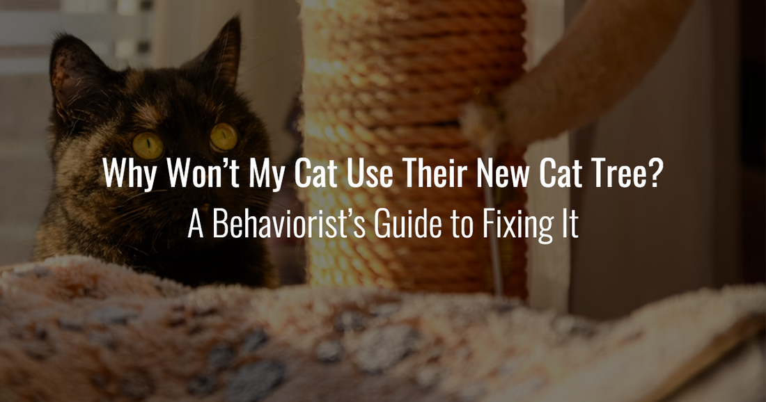 A curious black cat peeking from behind a soft blanket while looking at a sisal cat tree, with text reading "Why Won’t My Cat Use Their New Cat Tree? A Behaviorist’s Guide to Fixing It."