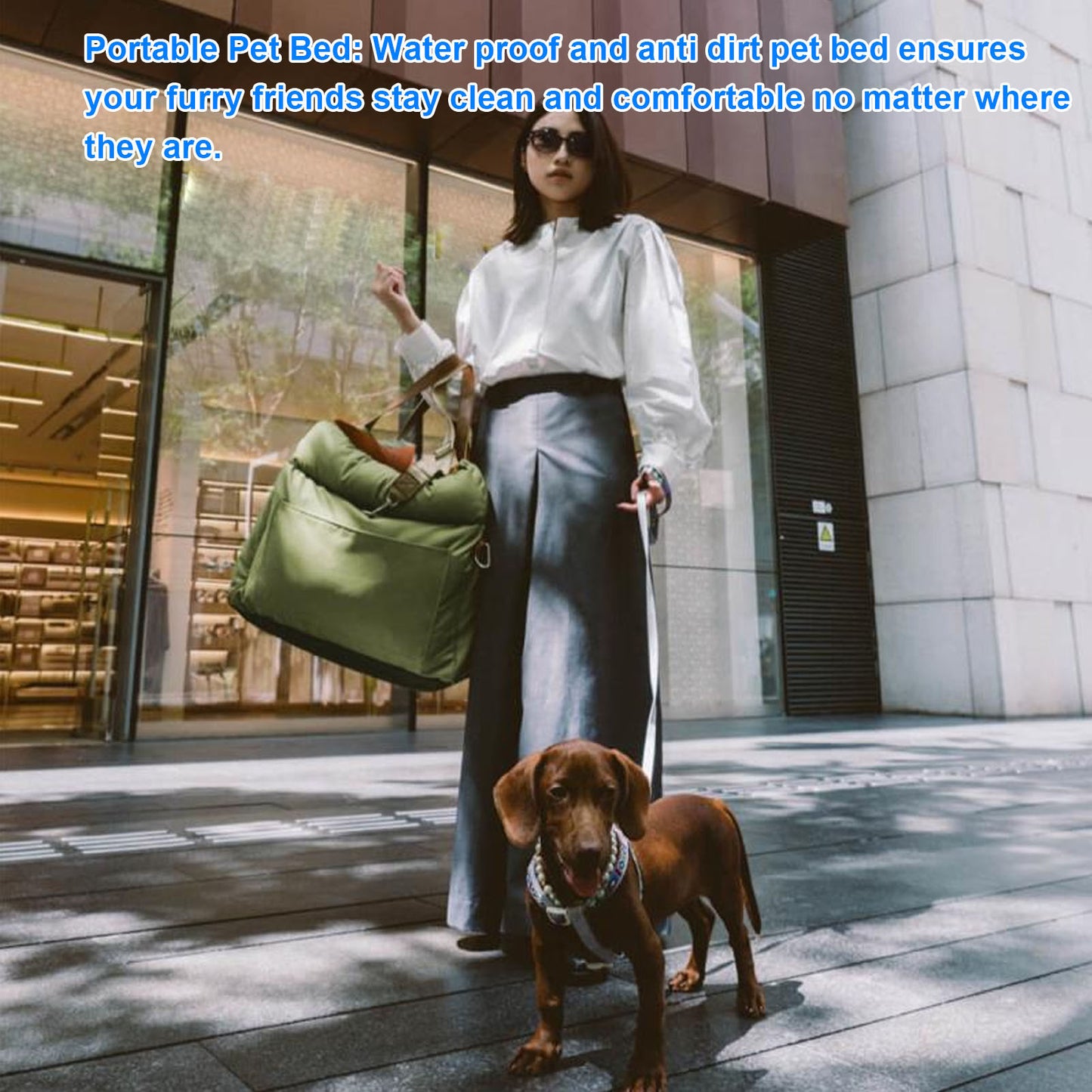 Car Pet Bed Portable Travel Outdoor Detachable Washable Pet Car Seat with Harness for Dogs Cats