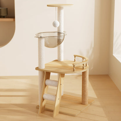 Modern wooden cat tree tower with transparent acrylic capsule hammock placed in a minimalist, sunlit living room.