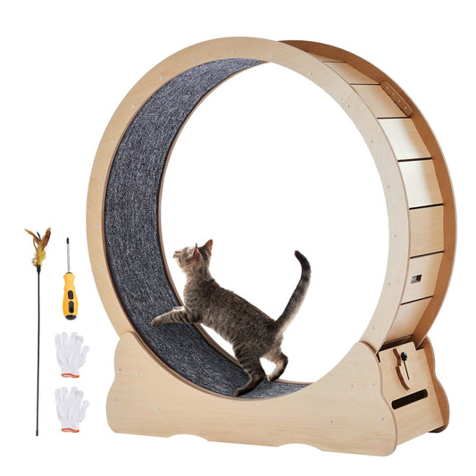 Side view of a 43.3 inch wooden cat exercise wheel treadmill with a tabby cat inside, lined with dark grey carpet track, featuring included accessories like work gloves, screwdriver, and cat teaser toy