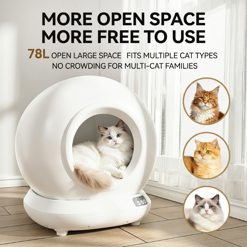 An infographic featuring a large, fluffy white cat with blue eyes relaxing comfortably inside a white, spherical smart cat litter box. Large bold text at the top reads "MORE OPEN SPACE MORE FREE TO USE" with a subhead highlighting a "78L OPEN LARGE SPACE" designed for multiple cat types. On the right, three stacked circular inset photos display different cat breeds: a fluffy orange and white Main Coon, a golden short-haired cat, and a bi-color Ragdoll cat.