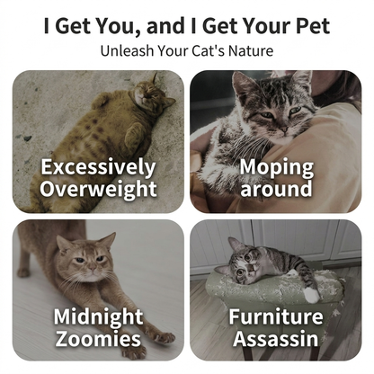 Infographic highlighting common cat behavior challenges including overweight cats, moping around, midnight zoomies, and furniture scratching, showing why a cat exercise wheel is needed