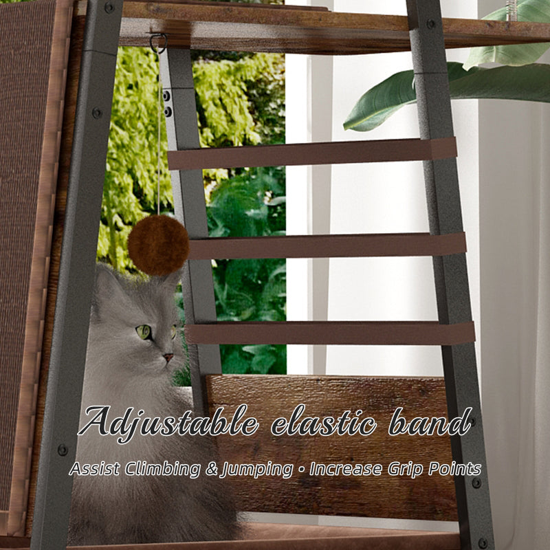 Close-up view of the adjustable elastic bands on the metal frame of the rustic cat tree tower designed to assist climbing with a fluffy cat looking at a hanging plush ball