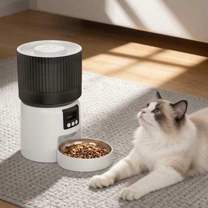 A ragdoll cat lying next to Cuteden smart automatic pet feeder on a grey rug in a sunlit room