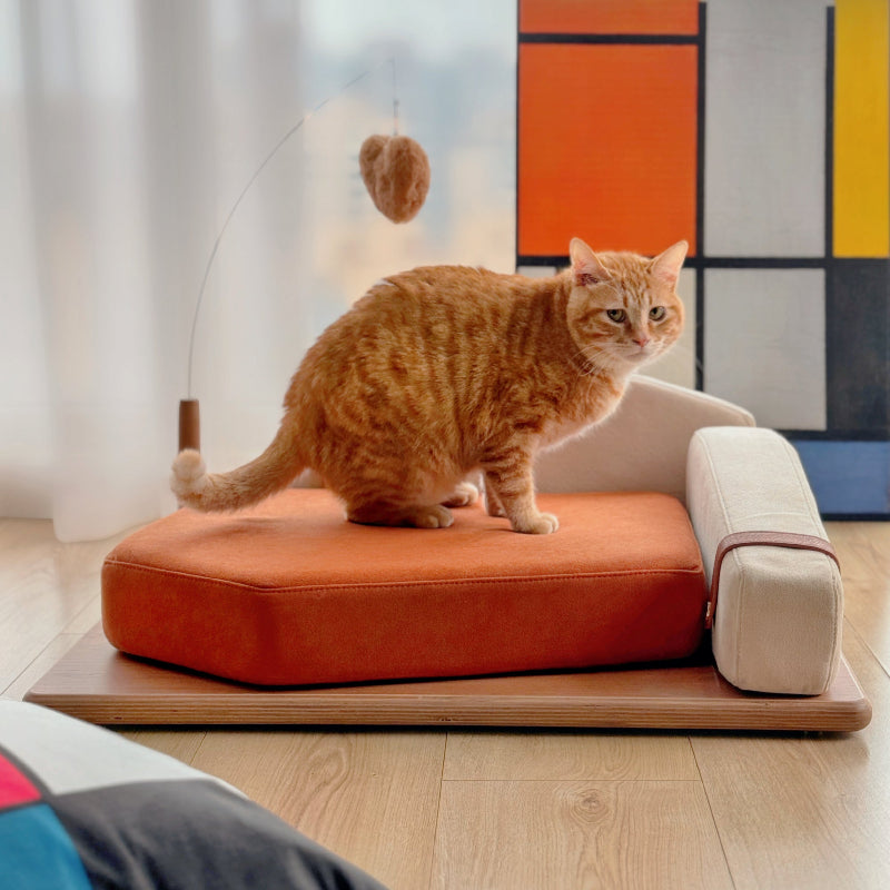An orange tabby cat standing proudly on top of a modern orange cushion cat sofa bed with an attached hanging toy.