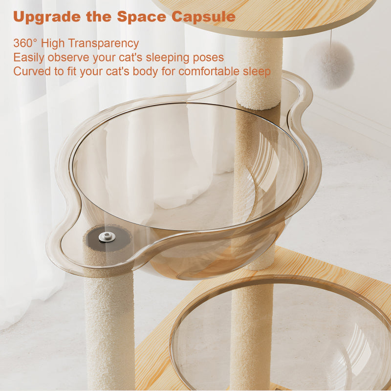Top view detail of the upgraded transparent acrylic space capsule cat hammock showing 360-degree high transparency design mounted on the wooden cat tree